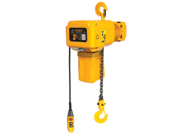 3T 標(biāo)準(zhǔn)環(huán)鏈電動(dòng)葫蘆 3T 標(biāo)準(zhǔn)環(huán)鏈電動(dòng)葫蘆